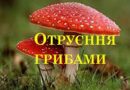 Обережно! Отруєння грибами